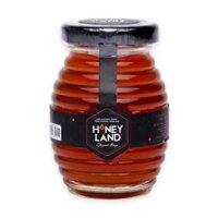 Mật ong hoa rừng Honey Land 110g (1 Hũ)