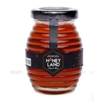 Mật Ong Hoa Rừng Honey Land 500G