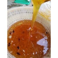 MẬT ONG KHOÁI RỪNG ĐIỆN BIÊN