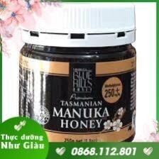 Mật Ong Manuka Blue Hills 250+ 250g