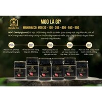 Mật Ong Manuka nhập khẩu Úc MGO 30+ đến 900+ Manuka Eco