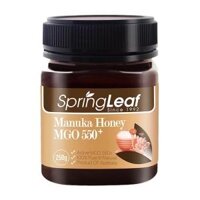 Mật ong SpringLeaf Manuka Honey MGO 550  250g