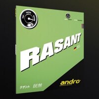 Mặt vợt ANDRO RASANT