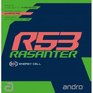 Mặt vợt Andro Rasanter R53