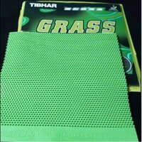 Mặt vợt bóng bàn gai Tibhar Grass D.Tecs - Gai thủ (chân gai dài) có các phiên bản cụ thể