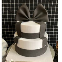 Mẫu bánh kem mô hình, bánh sinh nhật giả, 2 tầng, phù hợp cho tiệc sinh nhật, chụp ảnh , quay MV