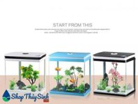 Mẫu bể cá mini nhập khẩu Aquael Classic Oval Aquarium Set 40