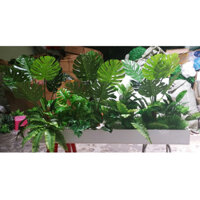 Mẫu cây lá rùa cao 85cm làm bồn cây trang trí văn phòng, tiểu cảnh mini (phù hợp chậu 100x35cm)