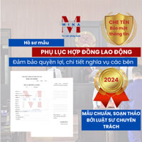 Mẫu chuẩn PHỤ LỤC HỢP ĐỒNG LAO ĐỘNG cập nhật 2024