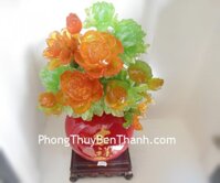 Mẫu đơn phú quý bình an Y242