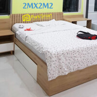 Mẫu giường gỗ 2mx2m2 giá rẻ funismart fngn15