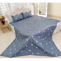 Mẫu Mới - Bộ 5 Món Chăn Ga Vỏ Gối Thu Hè Tam Giác (1 Chăn Chần Bông + 1 Ga + 1 Vỏ Gối Ôm + 2 Vỏ Gối Nằm) SHOP CHIẾU XỊN