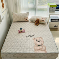 {mẫu mới} Chiếu cao su non điều hòa latex thái lan bo chun bọc đệm ,ga trải giường đủ size