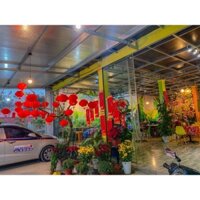 [Mẫu mới] Combo 200 đèn lồng đỏ Nilon Cực Dày 15cm Dày mẫu mới trang trí Tết, nhà cửa