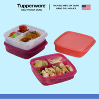 [Màu mới] Hộp cơm Lolly Tup 550ml từ nhựa nguyên sinh Tupperware chính hãng, an toàn cho sức khoẻ