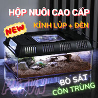 (mẫu mới) HỘP NUÔI NHỰA MICA CAO CẤP CÓ ĐÈN NUÔI BÒ SÁT CÔN TRÙNG ẾCH NHỆN CÁ CẢNH TRĂN RẮN giá rẻ sỉ SHIP CẤP TỐC