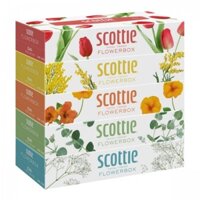 [MẪU MỚI] Lốc 5 hộp khăn giấy Scottie Flower Box 5 màu cao cấp