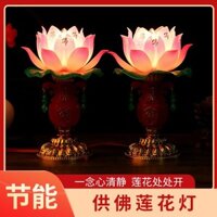 Mẫu mới năm 2025 Hộ gia đình Cắm vào Cặp LED Nhiều màu sắc Đèn sen Quan Âm Phật Trước Changming Đèn thờ Điện tử Cand20250120