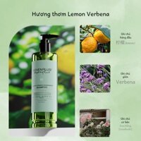 Mẫu Mới sevenPlus Dầu Gội Làm Sạch Làm Mới Cỏ Roi Ngựa
