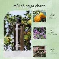 Mẫu Mới sevenPlus Nước Hoa Cỏ Roi Ngựa Chanh, Dầu Gội Làm Mới, Dầu Xả, Sữa Tắm, Nước Hoa Toàn Thân, Chính Hãng