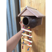 mẫu nhà gáo dừa dây thang