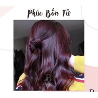 Màu nhuộm tím phúc bồn tử FANOLA Color Hair Cream 100ml