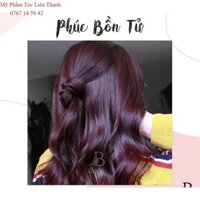 Màu nhuộm tím phúc bồn tử FANOLA Color Hair Cream 100ml(Chính hãng lên màu chuẩn)