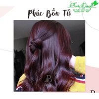 Màu nhuộm tím phúc bồn tử FANOLA Color Hair Cream 100ml ( MK )