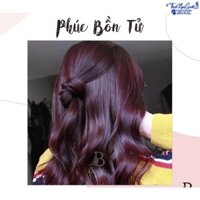 Màu nhuộm tím phúc bồn tử FANOLA Color Hair Cream 100ml - TN