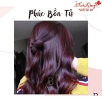Màu nhuộm tím phúc bồn tử FANOLA Color Hair Cream 100ml [ MK ]