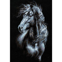 Mẫu thêu chữ thâp 14117 Hắc mã