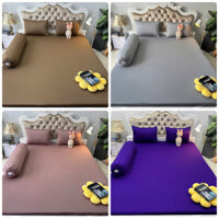 Màu trơn 05. Bộ ga giường thun lạnh 5D - LÂM QUYÊN BEDDING