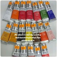MÀU WINTON 37ML(1 TUÝP)
