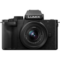 Máy ảnh Panasonic Lumix G100 (G100 – Cũ, Đẹp)
