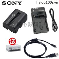 Máy Ảnh sony dslr-a100 a200 a300 slr np-fm500h + Cáp Sạc Và Truyền Dữ Liệu