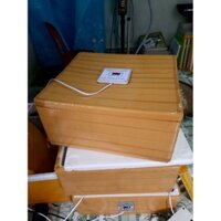 Máy ấp mini tiết  kiệm điện 12V/36W