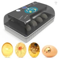 Máy ấp trứng 12 trứng có khả năng xoay trứng tự động, kiểm soát độ ẩm, hiển thị nhiệt độ và đèn nến trứng, Máy ấp trứng ấm cúng cho gà có khay điều chỉnh để nở gà vịt cút
