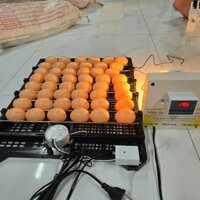 Máy ấp trứng 3002 kèm 1 khay đảo tự động cho gà vịt ngan ngỗng, chưa gồm thùng xốp