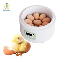Máy ấp trứng 9 Máy ấp trứng Gia cầm Máy ấp trứng đa năng tại nhà Máy ấp trứng Pigeon Máy ấp trứng