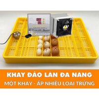 Máy ấp trứng ánh dương P100+ khay đảo lăn 60 trứng