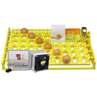 Máy ấp trứng Ánh Dương P100 có khay đảo trứng gà tự động 54 quả