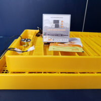 Máy ấp trứng Ánh Dương P100 đảo trứng tự động ấp nhiều loại trứng – 100 trứng - Bảo hành 1 năm