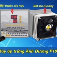 MÁY ẤP TRỨNG ÁNH DƯƠNG PHIÊN BẢN P100