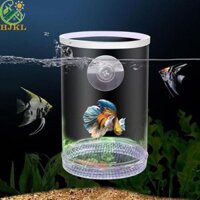 Máy ấp trứng bể cá HJKL Trang trí Phòng mái hiên thực tế