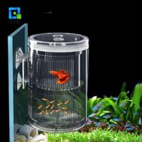 Máy ấp trứng bể cá ZYJC nổi đa năng cho cá hề Betta