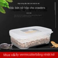 Máy ấp trứng bò sát Chuyên nghiệp Rùa tắc kè thằn lằn Rắn leo núi Thú cưng Máy ấp trứng Khay ấp trứng Hộp ấp trứng Máy ấp trứng Miễn phí Ver
