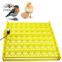 Máy ấp trứng CHENJIE 56 nhựa có động cơ tự động quay Phụ kiện thổ cẩm tự động