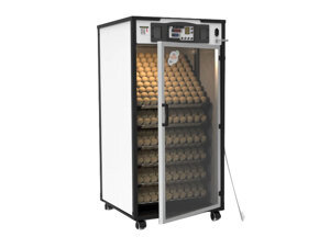 Máy ấp trứng Delta -H6 600 trứng