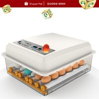 Máy ấp trứng Dương Ninh ấp gà vịt, máy ấp trứng tự động, tự đảo 03MAT