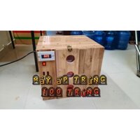 MÁY ẤP TRỨNG GÀ 100 TRỨNG TỰ ĐỘNG